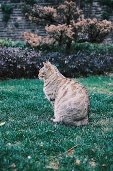 多地中考政策调整启动，生物地理转为考查科目；减负导向日益明显。