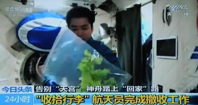  太空菜园樱桃番茄喜获丰收，中国航天员十年耕耘结硕果；气雾培养技术攻克微重力难题，绿色梦想照亮深空之路。 新闻 太空菜园樱桃番茄喜获丰收，中国航天员十年耕耘结硕果；气雾培养技术攻克微重力难题，绿色梦想照亮深空之路。 新闻 太空菜园樱桃番茄喜获丰收，中国航天员十年耕耘结硕果；气雾培养技术攻克微重力难题，绿色梦想照亮深空之路。 新闻