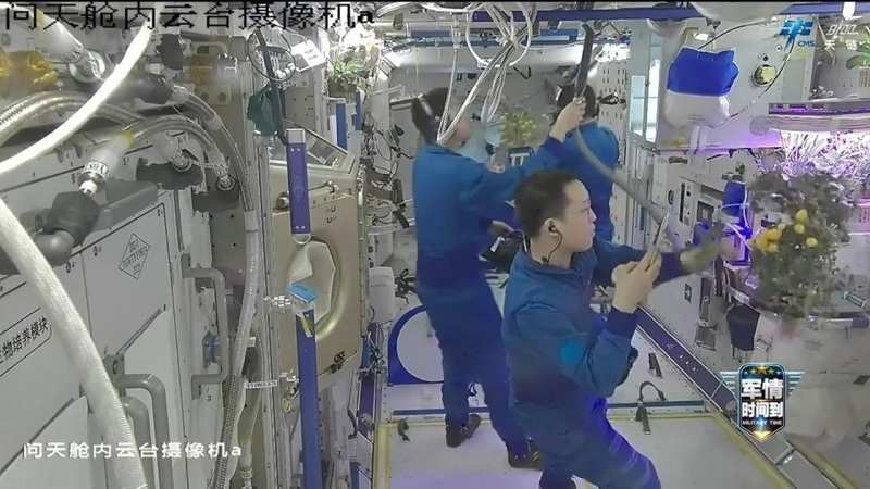  太空菜园樱桃番茄喜获丰收，中国航天员十年耕耘结硕果；气雾培养技术攻克微重力难题，绿色梦想照亮深空之路。 新闻 太空菜园樱桃番茄喜获丰收，中国航天员十年耕耘结硕果；气雾培养技术攻克微重力难题，绿色梦想照亮深空之路。 新闻 太空菜园樱桃番茄喜获丰收，中国航天员十年耕耘结硕果；气雾培养技术攻克微重力难题，绿色梦想照亮深空之路。 新闻