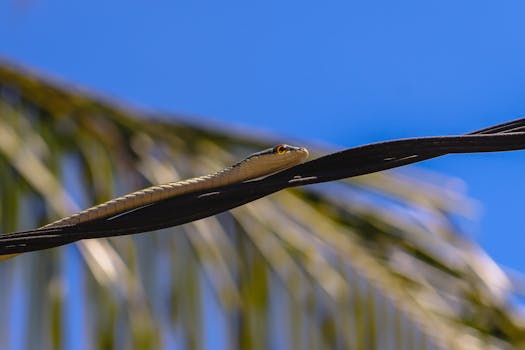  博迈科董事长彭文成强调，持续提升海洋经济竞争力与贡献度。公司立足核心优势，坚持创新驱动。 股票财经