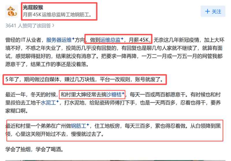  学历与技术的双重失效：职场神话的彻底崩塌 新闻