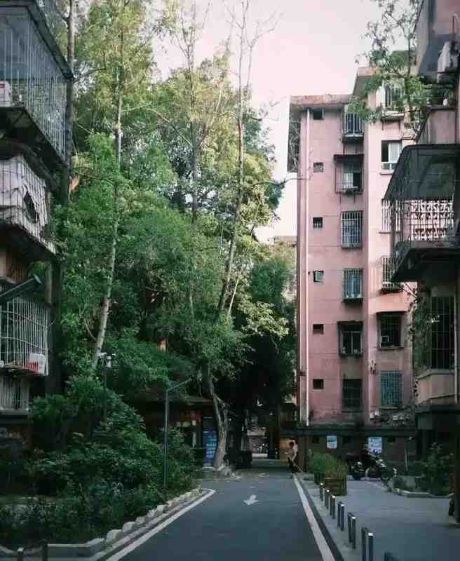  从“买到就是赚到”到“持房如持烫”：多套房家庭的财富困境深度解析 房产家居