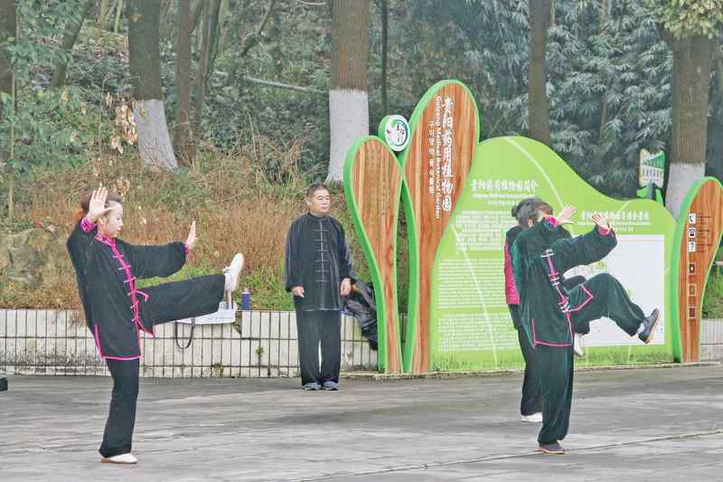 技术赋能视角下银发旅游产品的迭代逻辑与价值重构 新闻 技术赋能视角下银发旅游产品的迭代逻辑与价值重构 新闻 技术赋能视角下银发旅游产品的迭代逻辑与价值重构 新闻 技术赋能视角下银发旅游产品的迭代逻辑与价值重构 新闻
