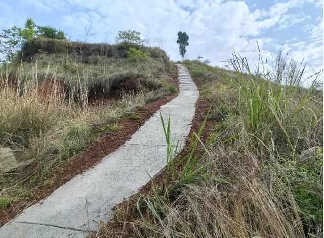  那条泥泞了八年的山路，如今有了新名字 文化旅游 那条泥泞了八年的山路，如今有了新名字 文化旅游 那条泥泞了八年的山路，如今有了新名字 文化旅游
