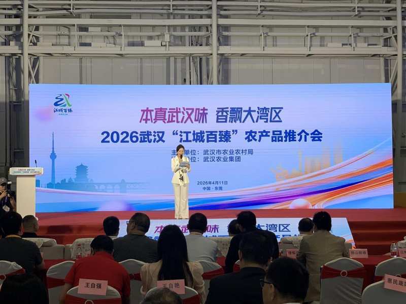 从区域特产到湾区名片：江城百臻品牌战略深度复盘