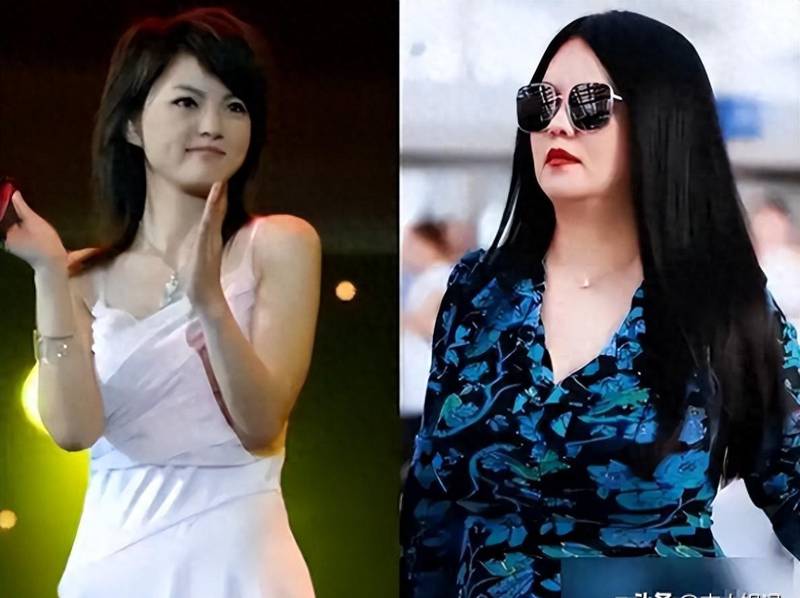  技术拆解·李湘减重方法论：专业团队+极限执行=半年甩肉五十斤的底层逻辑 健康养生