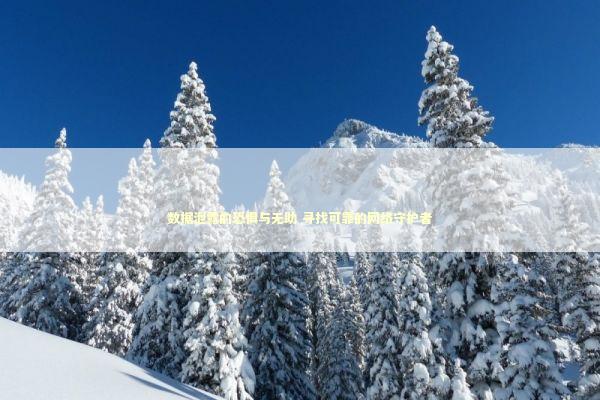 数据泄露的恐惧与无助 寻找可靠的网络守护者