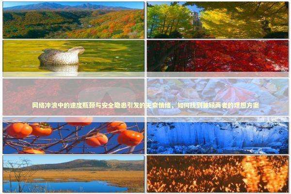 网络冲浪中的速度瓶颈与安全隐患引发的无奈情绪，如何找到兼顾两者的理想方案