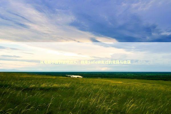 从电脑小白到装机达人：我用SafeW走过的弯路与收获 IT技术