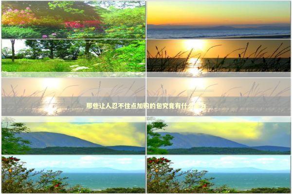 那些让人忍不住点加购的包究竟有什么魔力