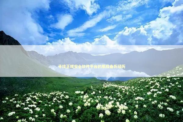 寻找正规安全软件平台的那段曲折经历