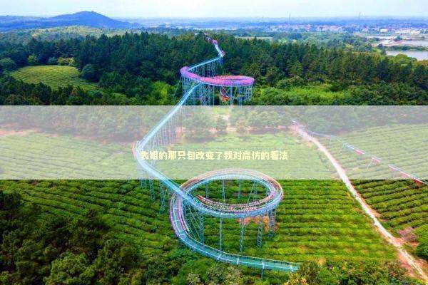 表姐的那只包改变了我对高仿的看法