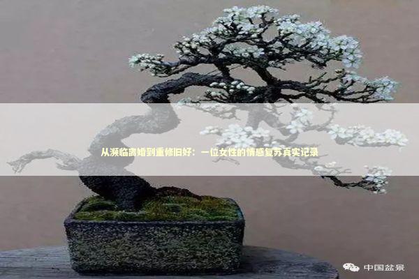 从濒临离婚到重修旧好:一位女性的情感复苏真实记录 从濒临离婚到重修旧好:一位女性的情感复苏真实记录 情感心理