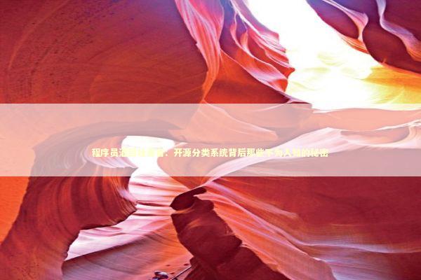 程序员酒后吐真言:开源分类系统背后那些不为人知的秘密 程序员酒后吐真言:开源分类系统背后那些不为人知的秘密 IT技术